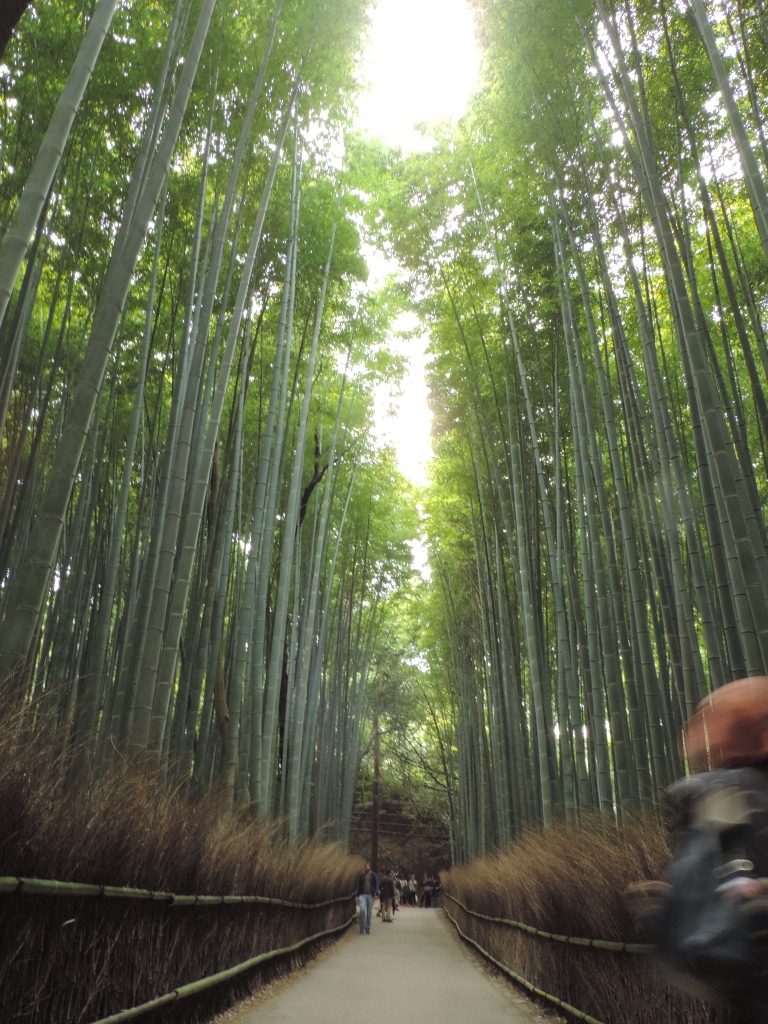 Bosque de Bambú Arashiyama